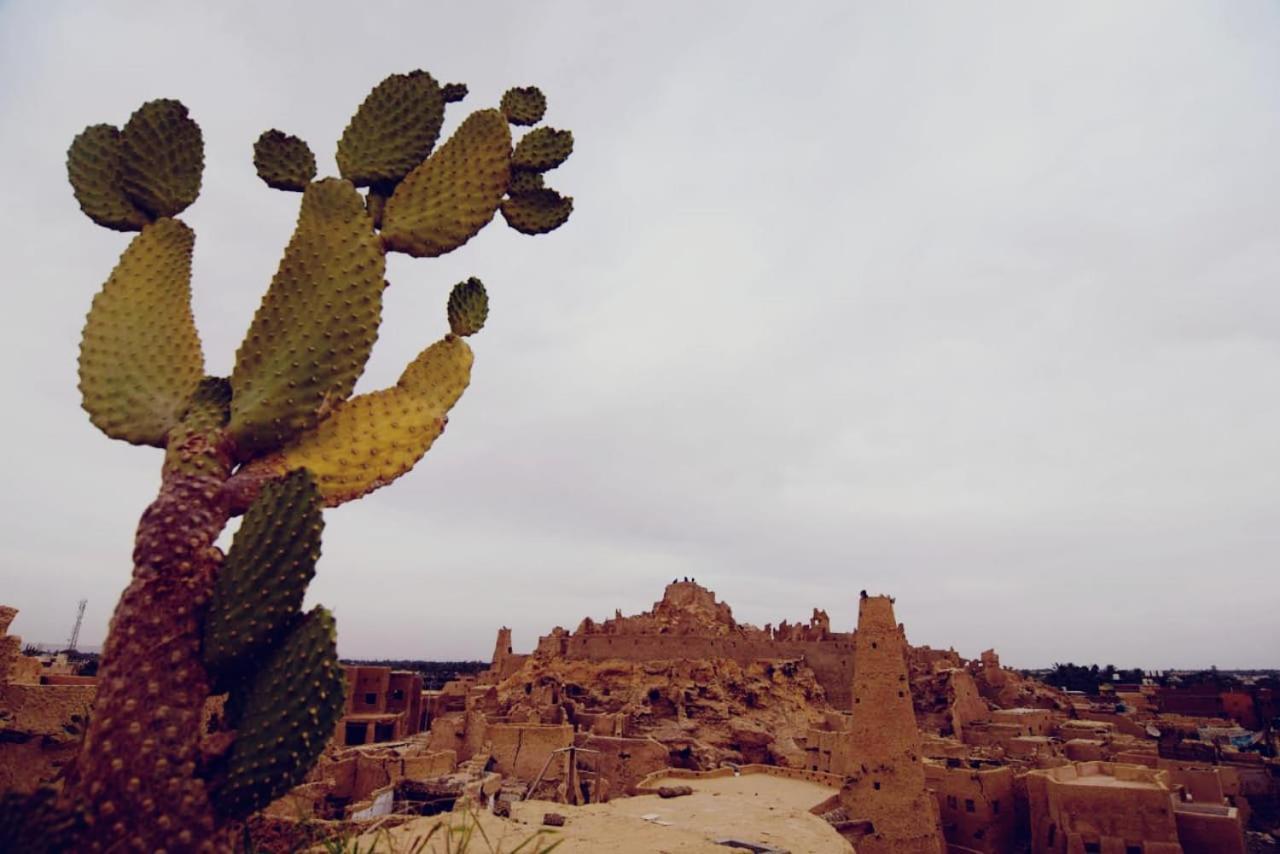 Апартаменти Nainshal Siwa Siwa Oasis Екстер'єр фото